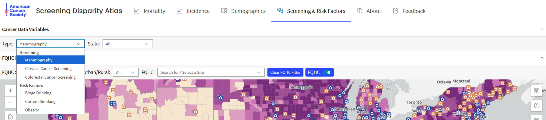 Expanded view of Screening & Risk Factors Map Query Panel